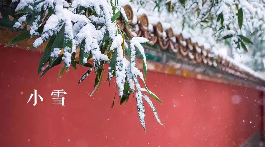 天冷冬深 愿歲月安暖 | 六安索伊君瀾大酒店提醒您注意保暖，溫暖入冬！